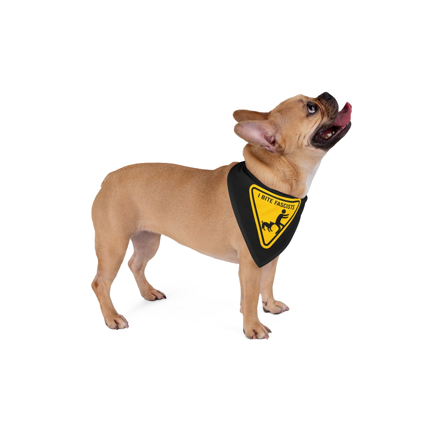 Anti-Fascist Pet Bandana | I Bite Fascists