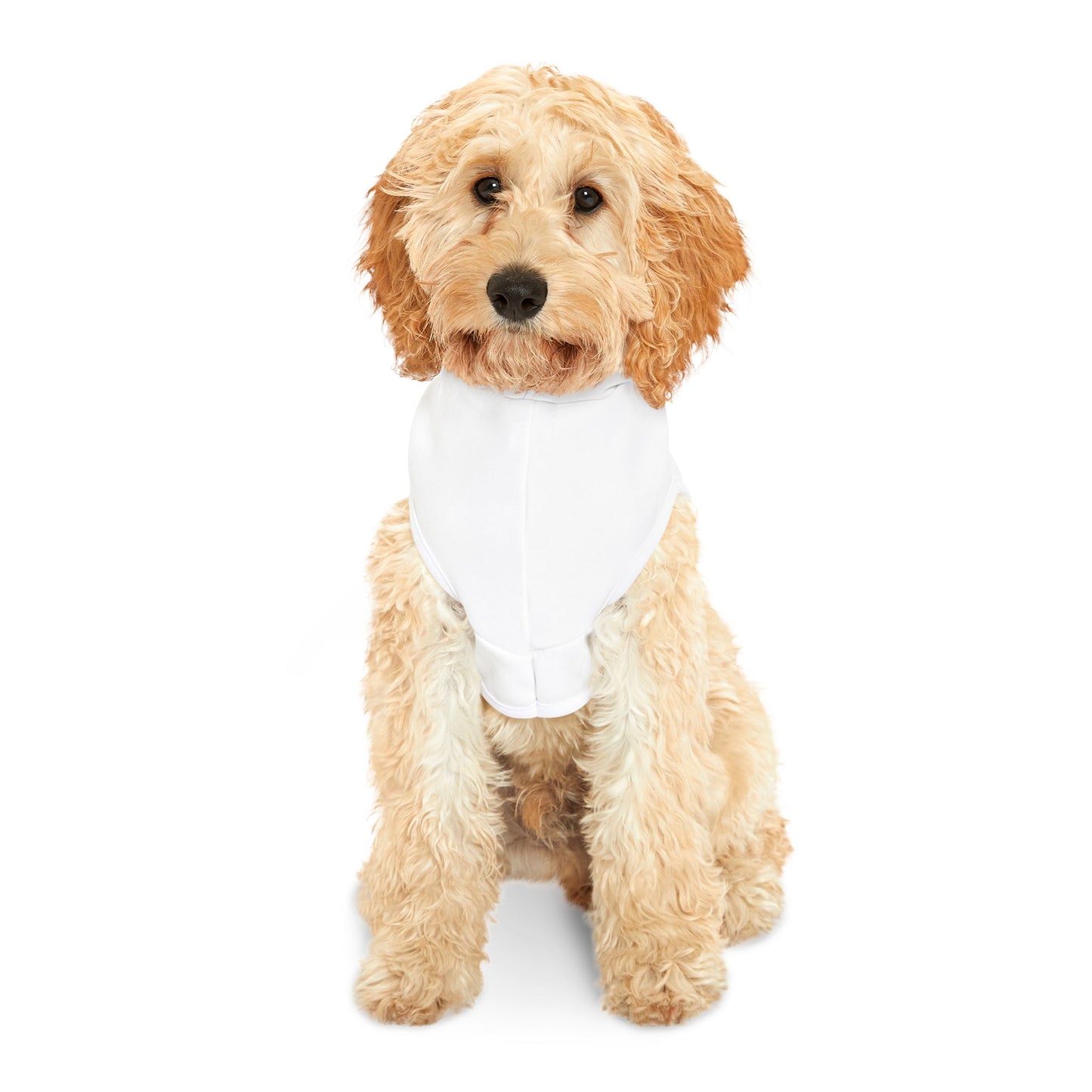 Book Lover Pet Hoodie