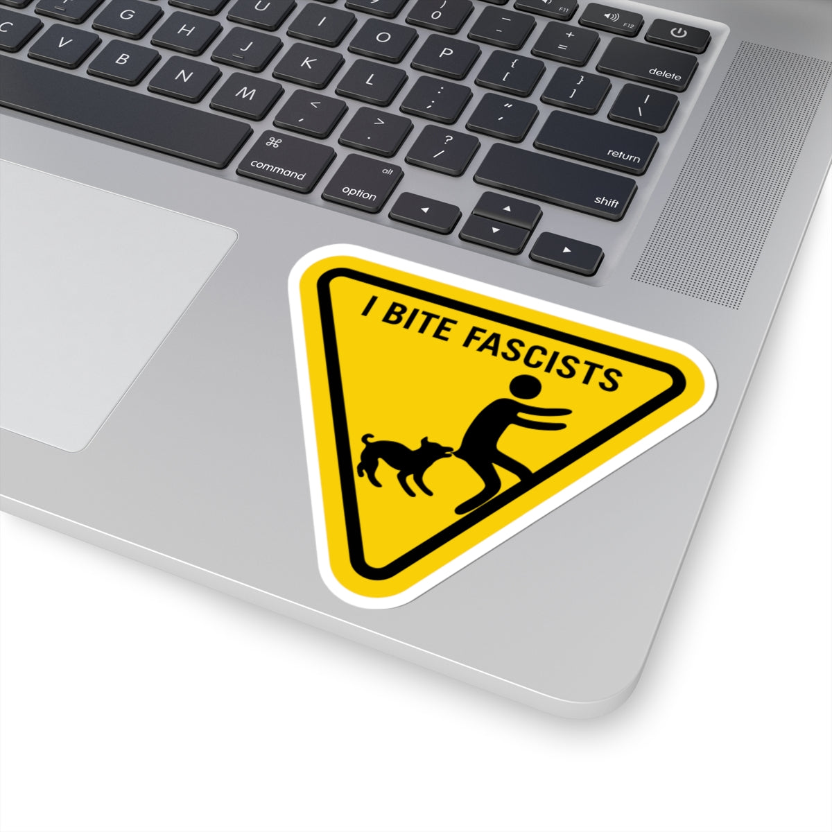 Anti-Fascist Sticker